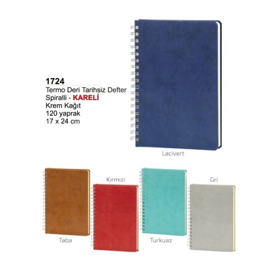 Termo Deri Defter 1724