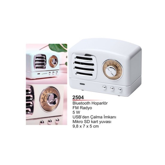 Bluetooth Hoparlör 2504